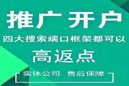 提升网站流量与转化率的关键——关键词竞价排名案例